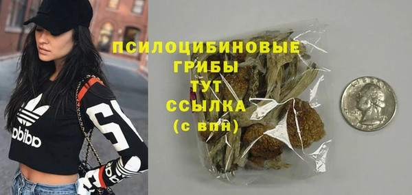 прущие грибы Алексеевка
